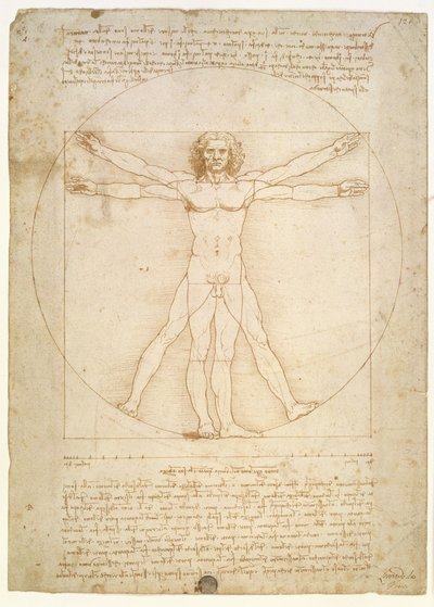 De Verhoudingen van het menselijk lichaam (naar Vitruvius), c.1492 door Leonardo da Vinci